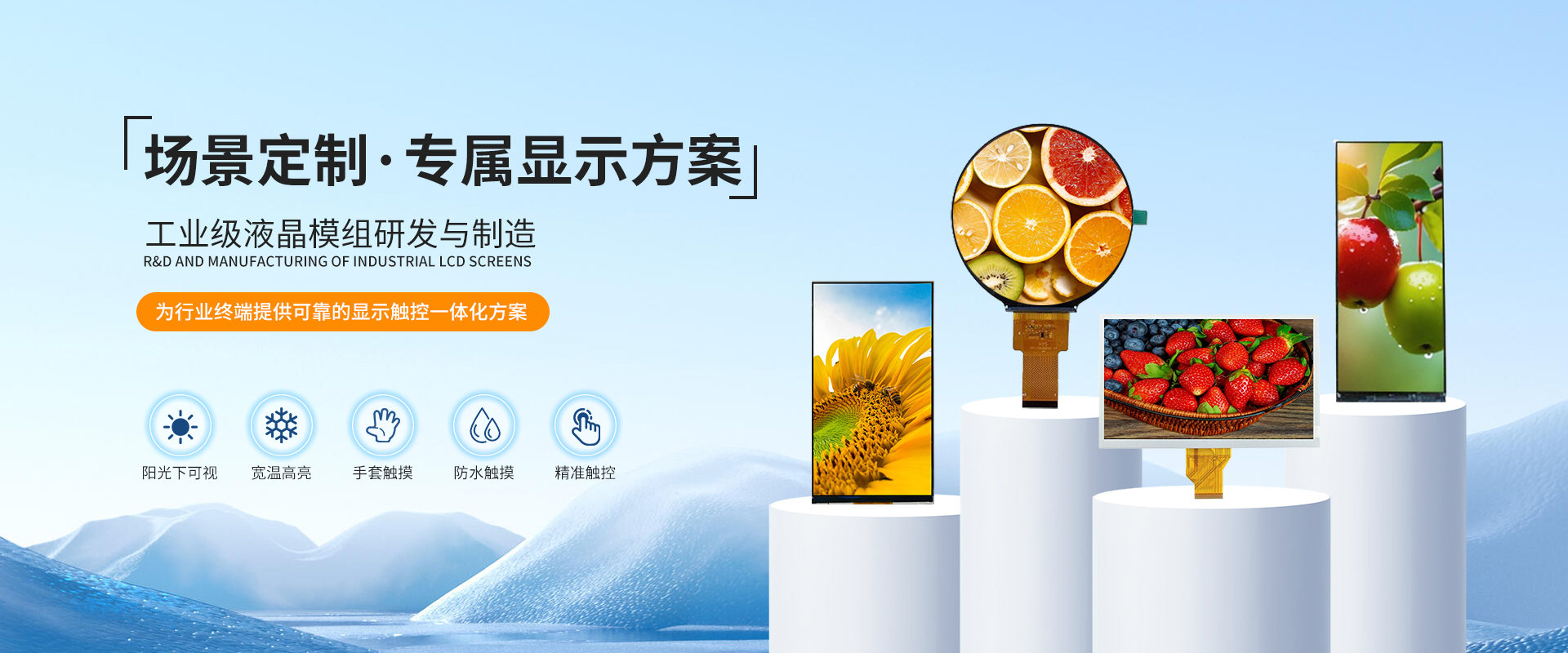 场景定制 专属液晶屏显示方案